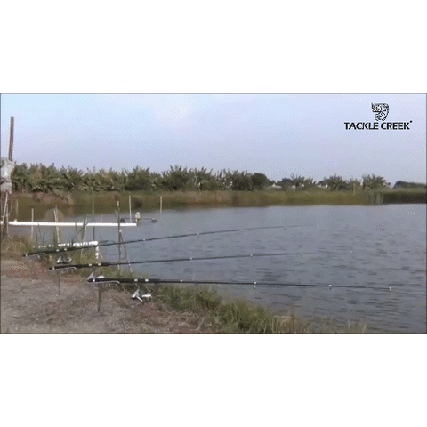 Fishing Rod Holder Stand with Automatic Strike Mechanism